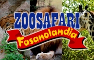 Zoo safari Fasanolandia